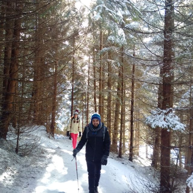 7 Best National Park Tours In Brasov
