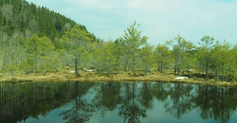 From Brasov: Small-Group Volcanic Lake Day Trip