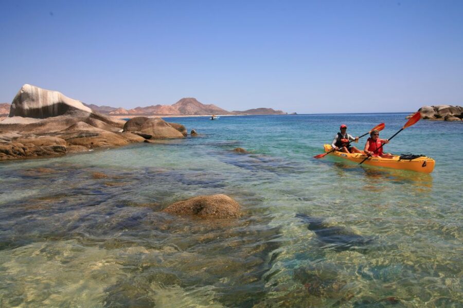 From Cabo: Cabo Pulmo Marine Park Snorkeling and Kayaking