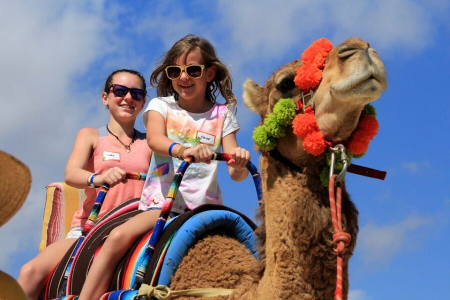 From Cabo: El Tule Canyon Camel Adventure