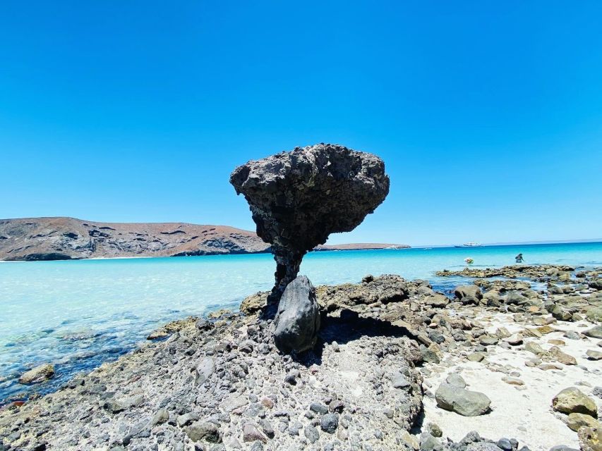 From Cabo/San José Del Cabo: La Paz, Balandra & Todos Santos