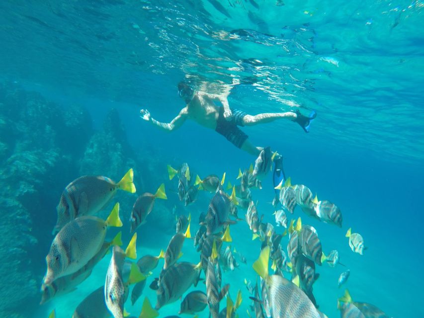 From Cabo San Lucas: Lovers Beach and El Arco Boat Trip