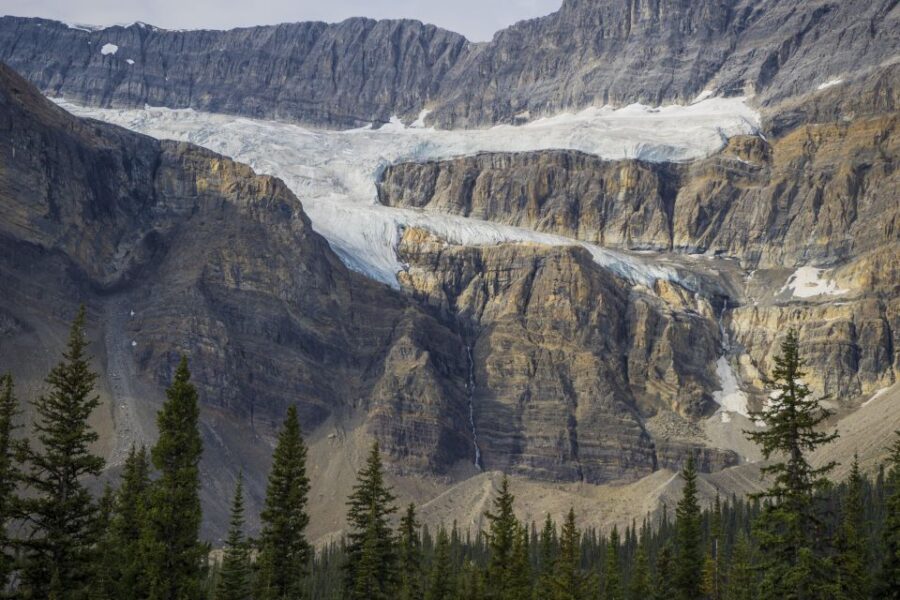 From Calgary/Banff: Columbia Icefield Day Trip - Tour Overview