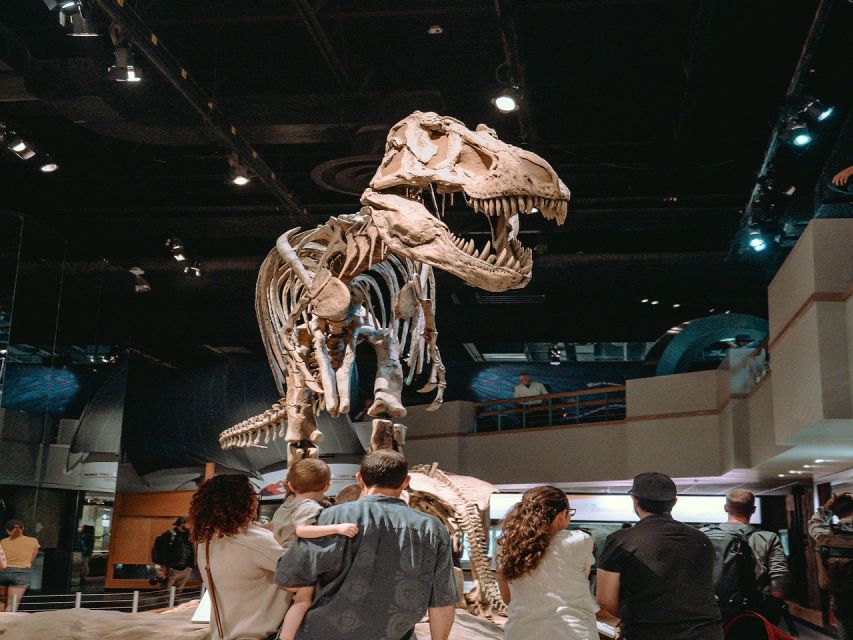 4 Best Guided Tours In Calgary
