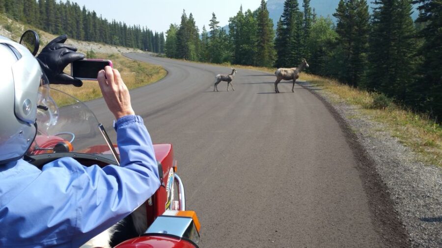 From Calgary: High Spirits Adventure in a Sidecar Motorcycle