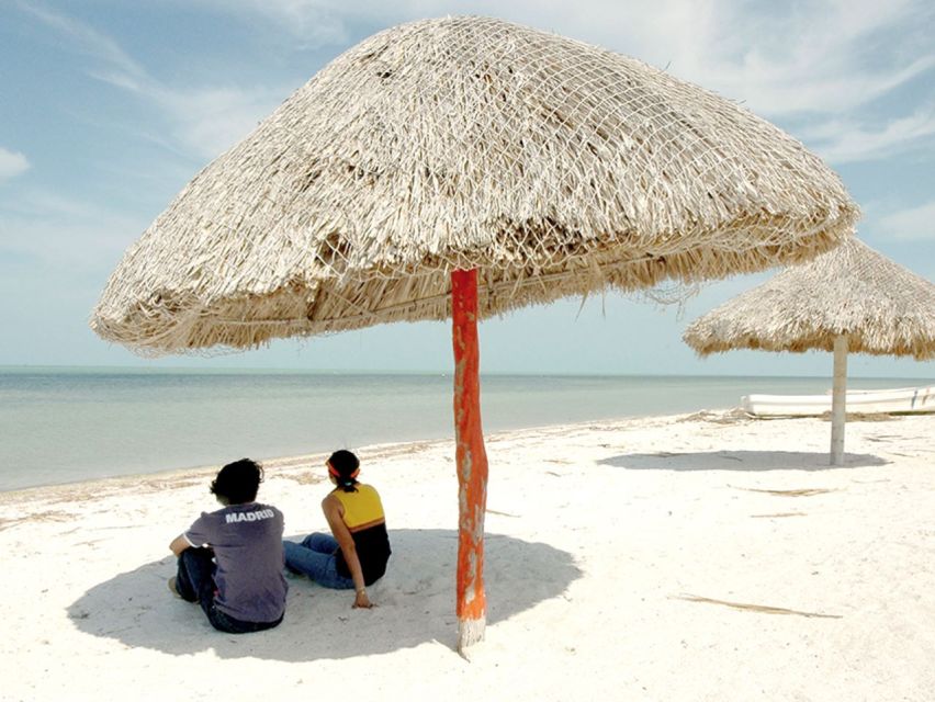 From Campeche: Flamingo Private Tour