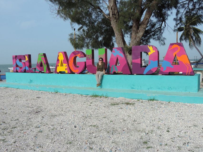 From Campeche: Isla Aguada Dolphin Encounter Tour
