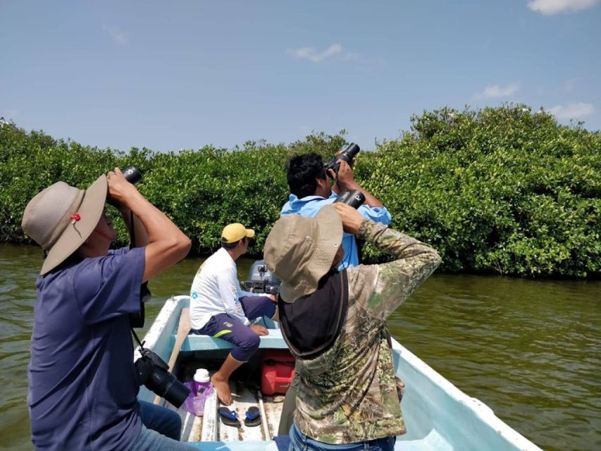 From Campeche: Mamantel River Tour