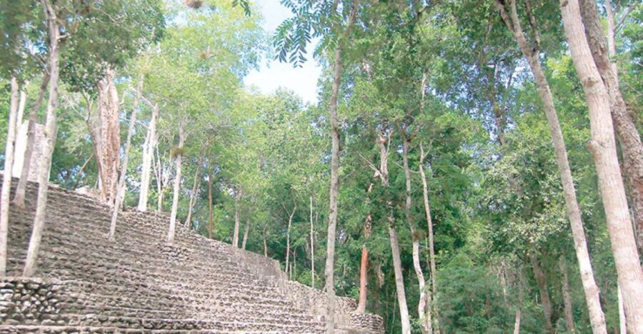 From Campeche: Private 3-Day Selva Maya Tour With Half Board