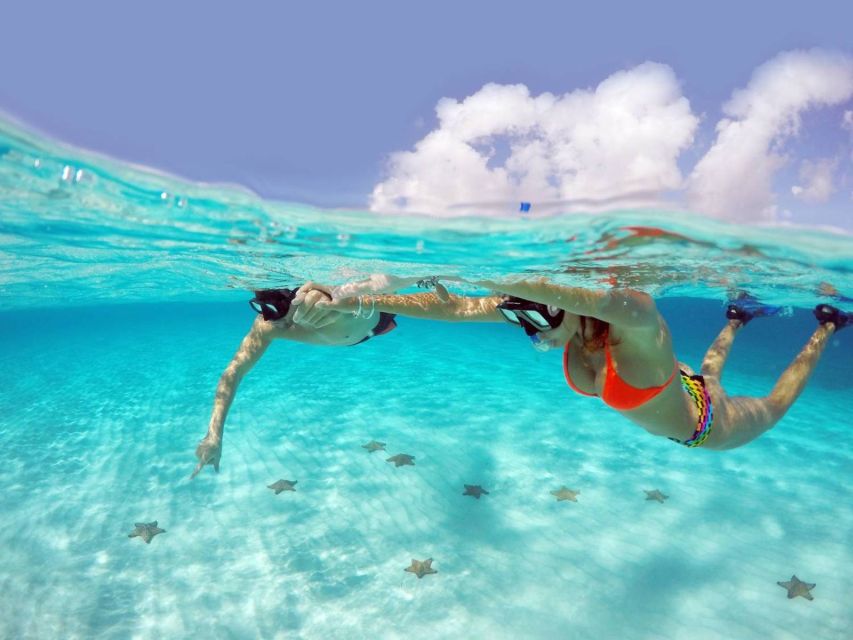 From Cancun and Riviera Maya: Cozumel Snorkeling Tour