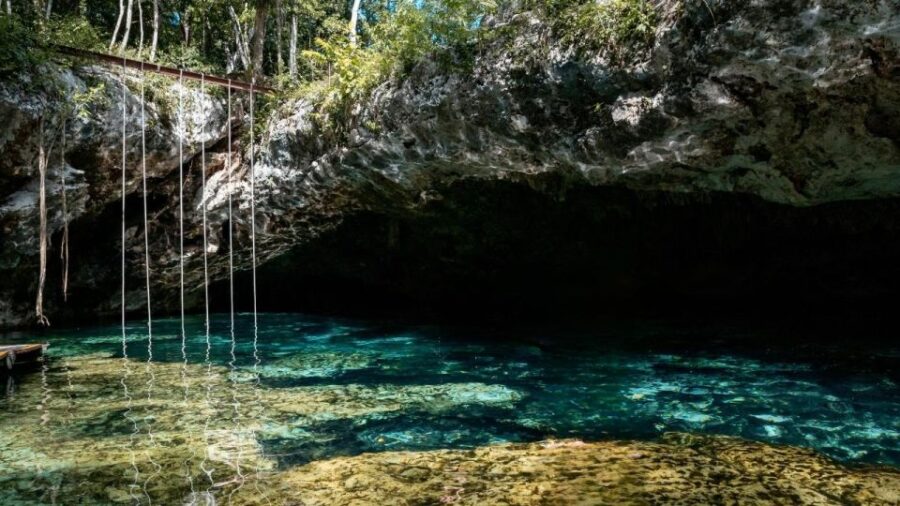 From Cancun: Day Trip to Tulum, Cenote & Playa Del Carmen - Itinerary and Experience
