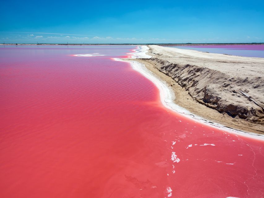 From Cancun: Las Coloradas and Río Lagartos Day Tour