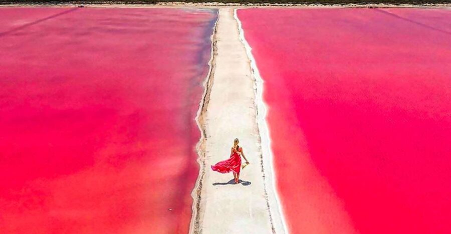 2 Best Lunch Experiences In Las Coloradas