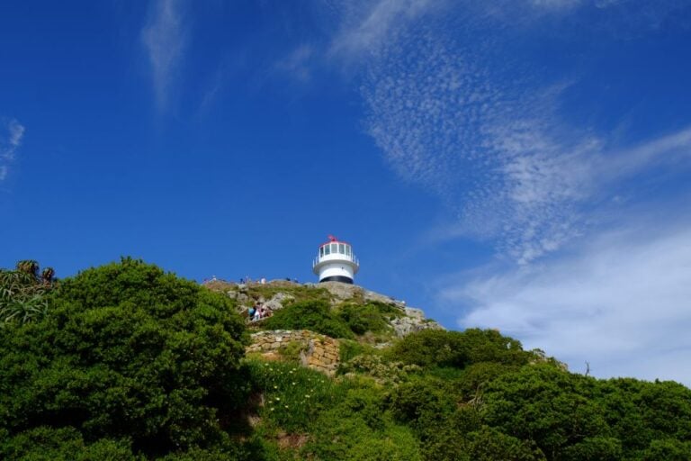 From Cape Town: Cape Point & Boulders Beach Full-Day Tour