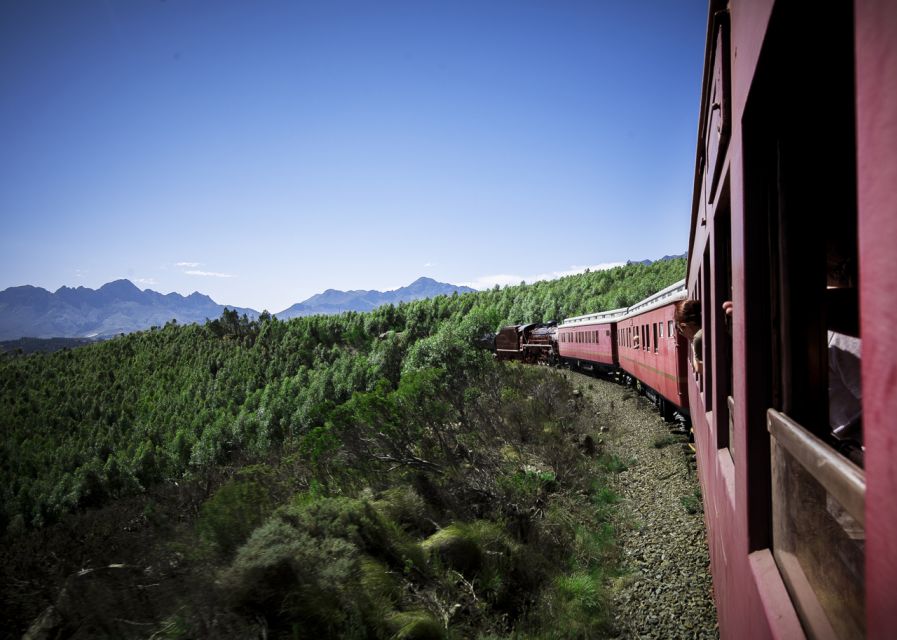 From Cape Town: Steam Train Ticket to Elgin Railway Market - Journey Overview