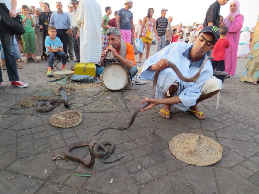 From Casablanca: 10-Day Morocco Tour