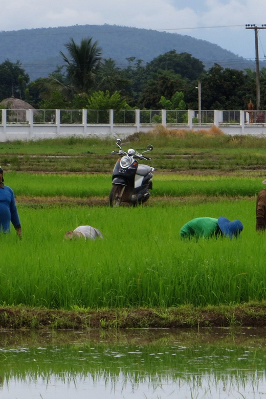 From Chiang Mai: Mae Taeng Valley Hike & Bike Day Trip