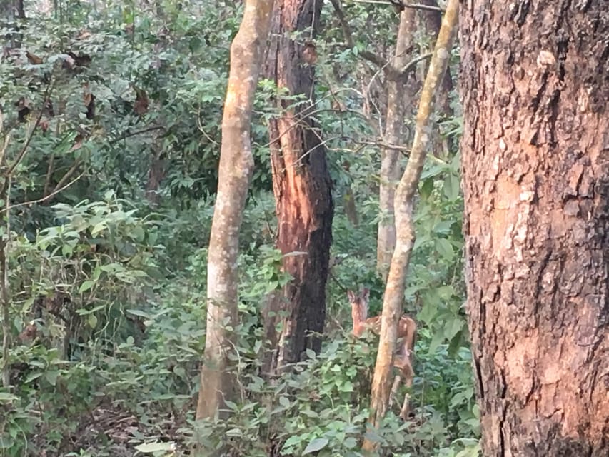 3 Best Hiking And Trekking Tours In Pashchimanchal Western Region