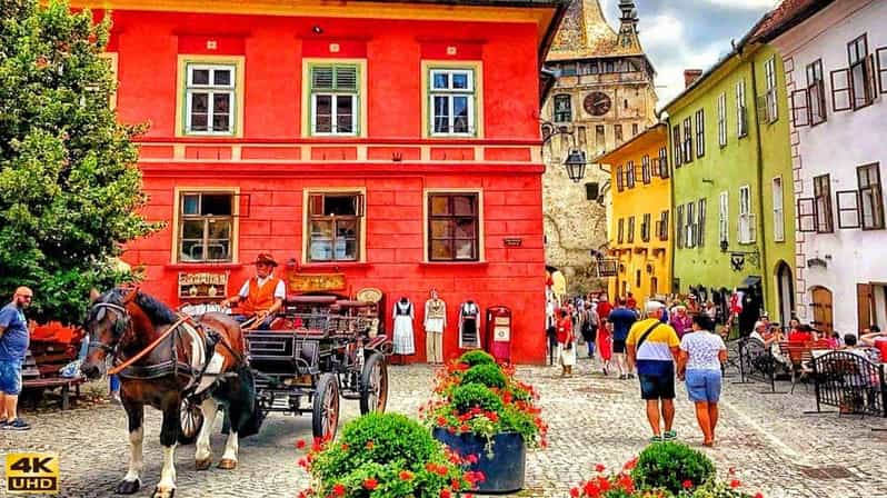 FROM CLUJ: 3 DAY TOUR – HISTORY, UNESCO, WILDLIFE
