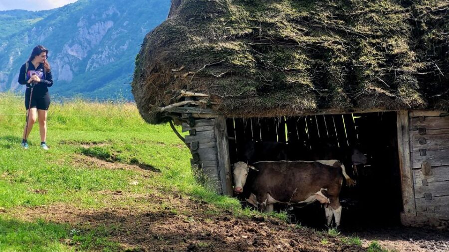 From Cluj-Napoca: Apuseni Mountains Hiking Guided Day Tour