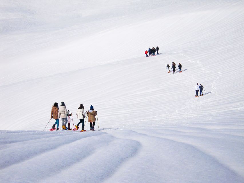 From Cluj: Winter Walking Trip on the Great Mountain
