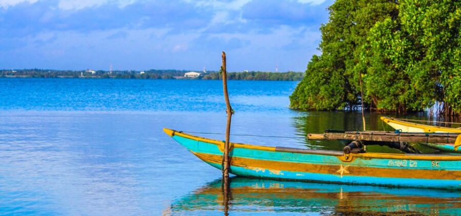From Colombo/Negombo: Muthurajawela Bird Watching Day Trip