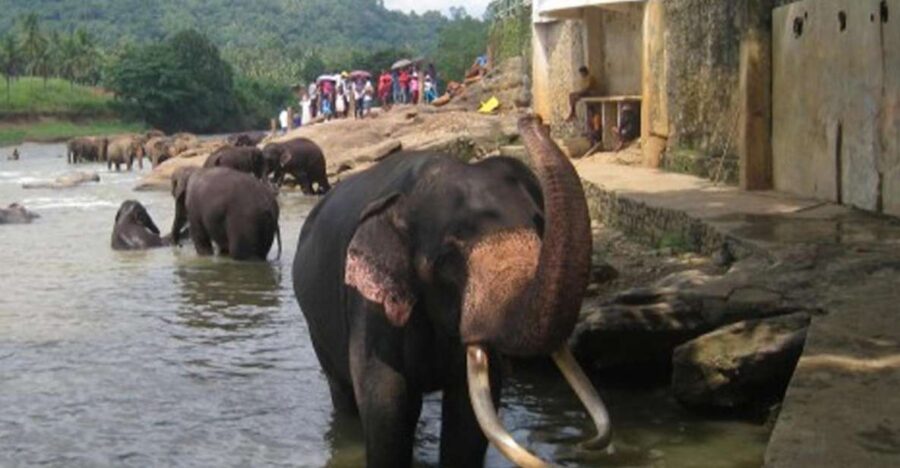 From Colombo: Private 2-Day Sri Lanka Highlights Trip