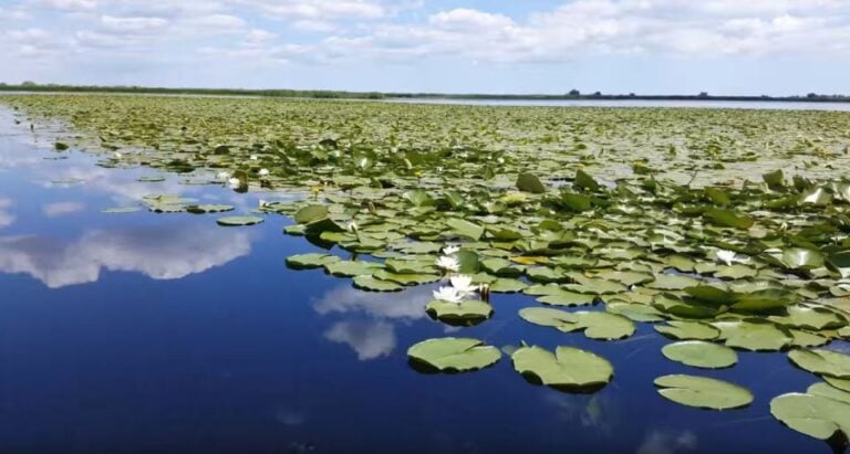 From Constanta: Day Trip to the Danube Delta