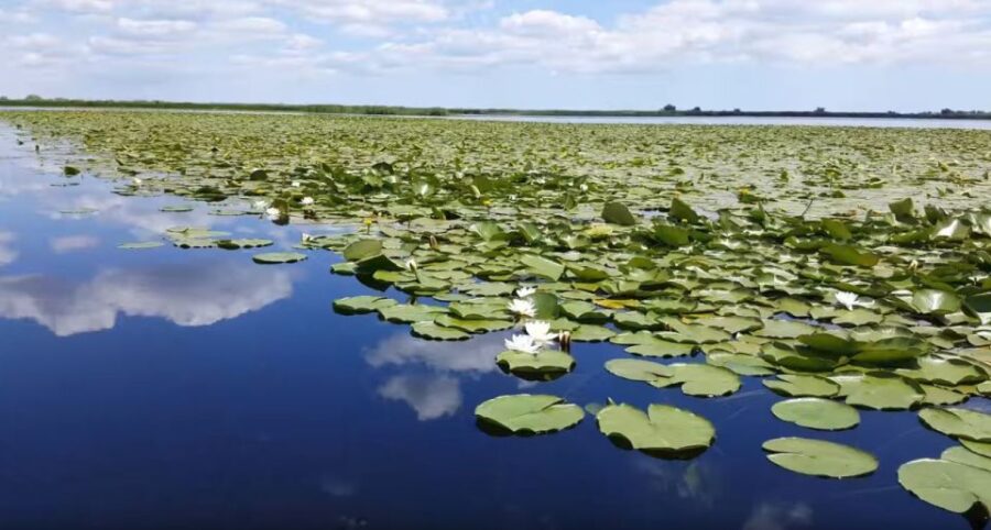 From Constanta: Day Trip to the Danube Delta