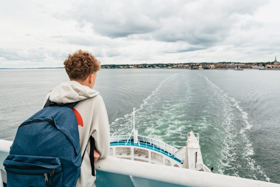 From Copenhagen: Lund and Malmö 2-Country Tour