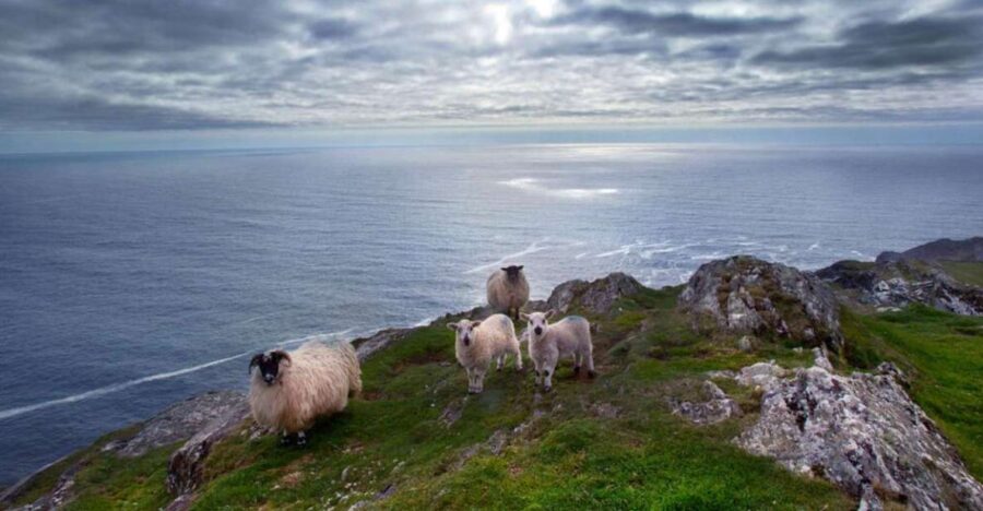 10 Best Guided Tours In Cork