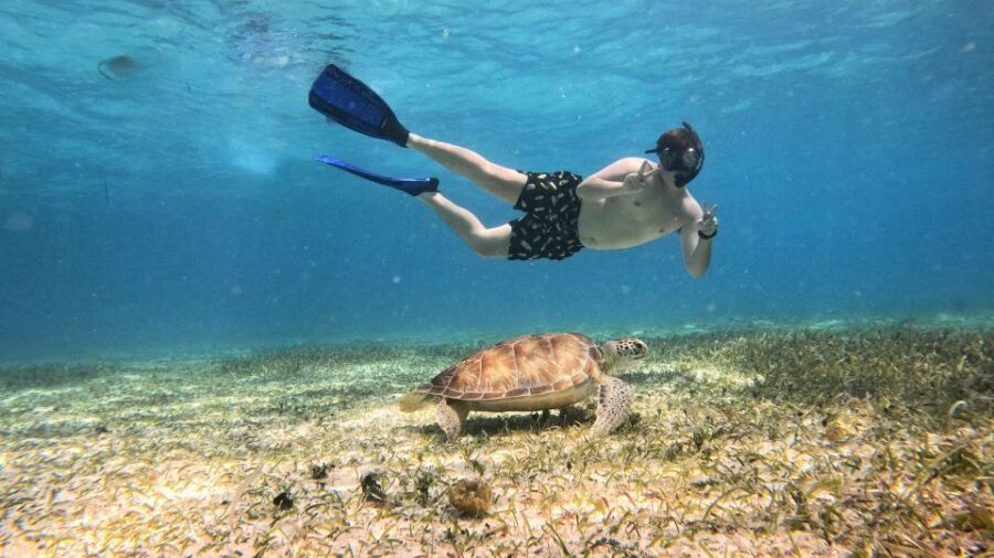 From Cozumel: Snorkel Private Charter to El Cielo & Cielito