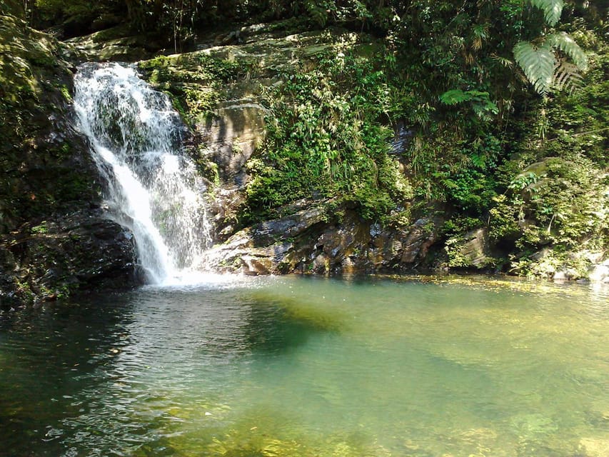 From Da Nang: Bach Ma National Park Trekking - Tour Overview and Pricing