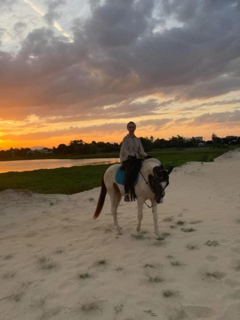 From Da Nang: Half Day Horse Riding and Coconut Boat-Hoi An. - Tour Overview
