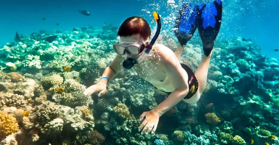 From Da Nang/ Hoi An: Cham Islands & Snorkeling Or Diving - Experience Highlights