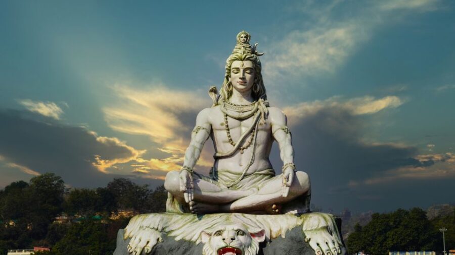 From Delhi: Private Day Tour to Haridwar and Rishikesh - Tour Overview