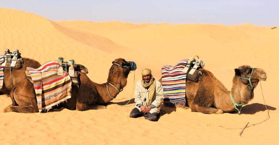 From Djerba: Full-Day Ksar Ghilane, Sahara and Oasis Tour