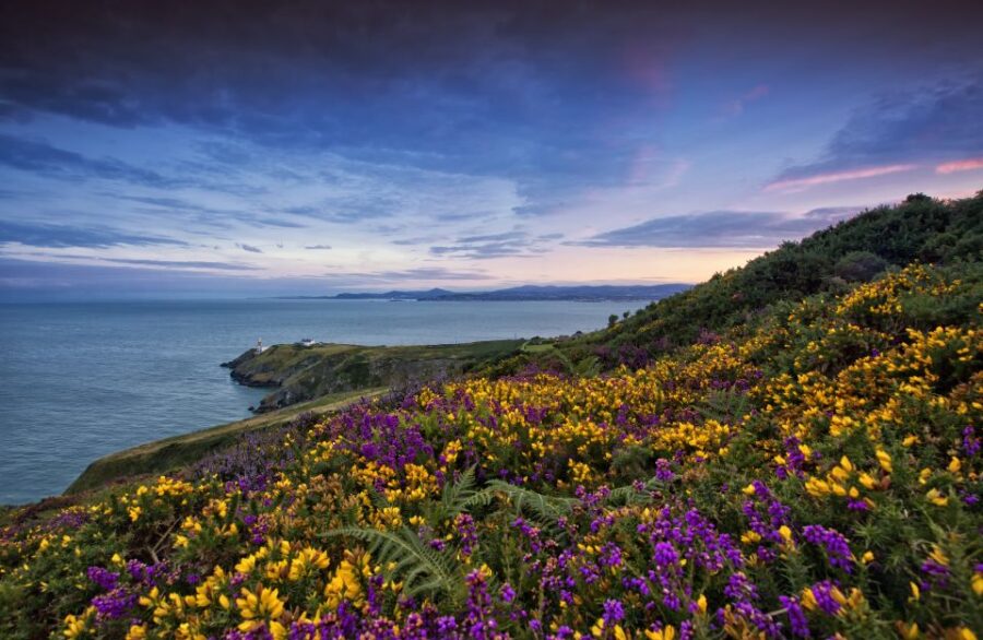 From Dublin: Half-Day Guided Coastal Tour to Howth Village - Tour Overview and Pricing