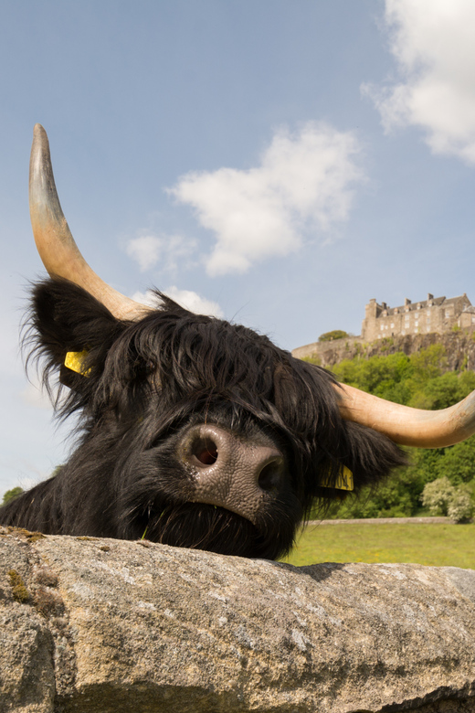 From Edinburgh: Loch Lomond, Stirling Castle & Kelpies Tour