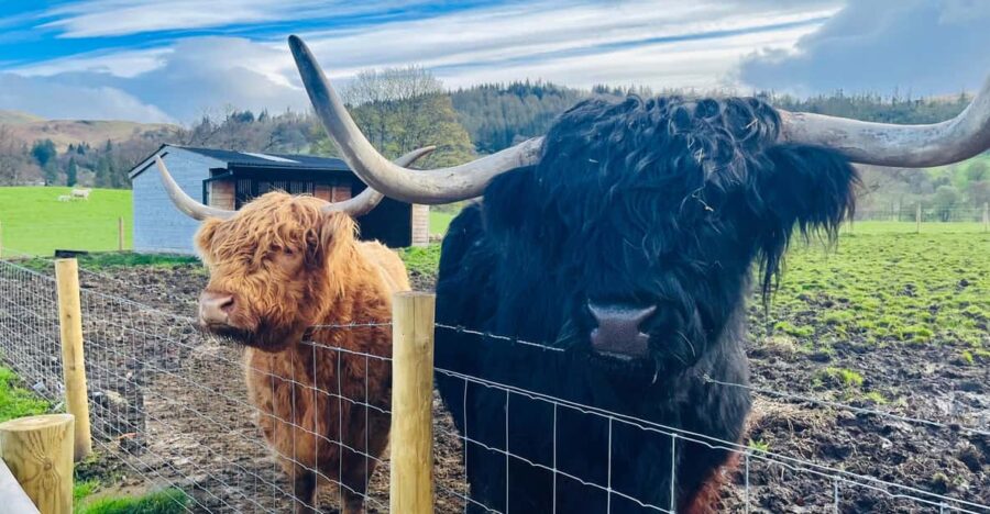 From Edinburgh: Loch Ness, Glencoe & The Highlands Day Trip