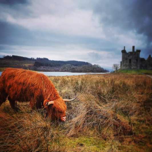 From Edinburgh:The West Highlands, Oban and Glencoe Day Tour