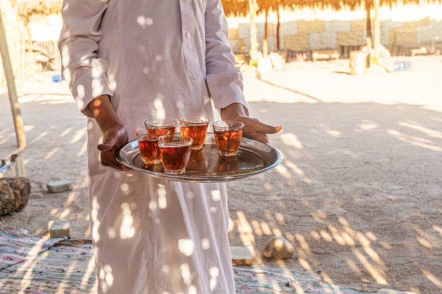From EL Gouna: Quad Safari, Bedouin Village, & Camel Ride