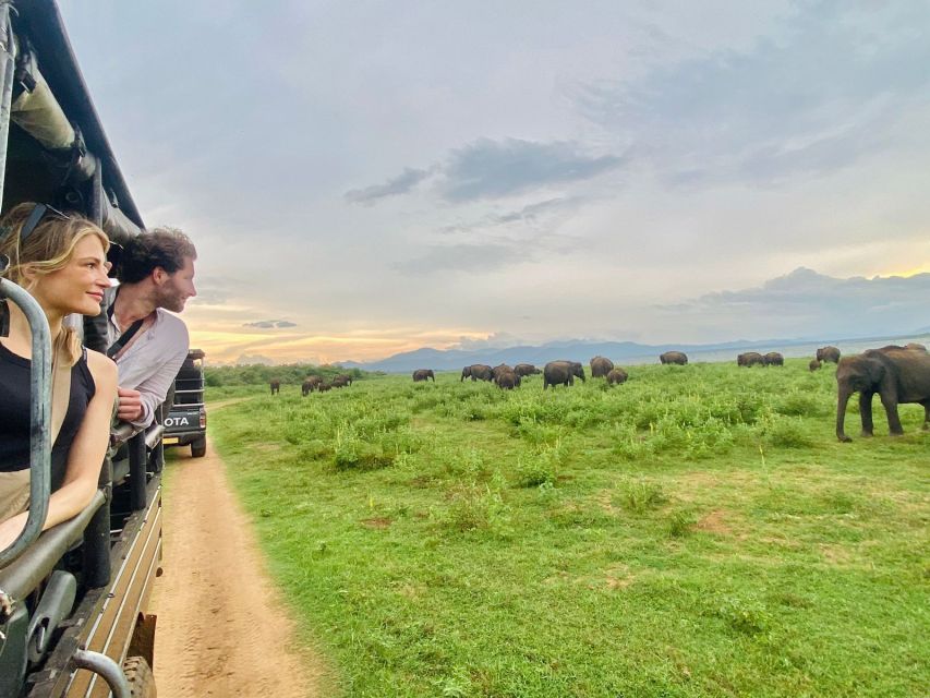From Ella – Udawalawe National Park Private Safari