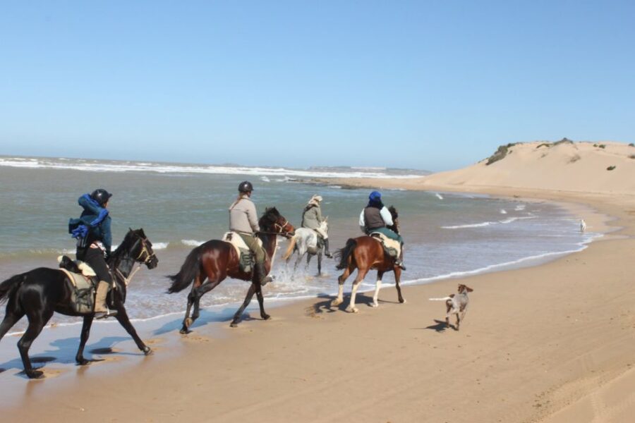 From Essaouira: 1-Hour Horse Ride With Sunset