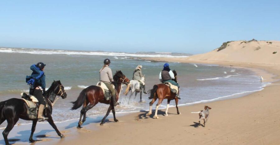 From Essaouira: 1-Hour Horse Ride