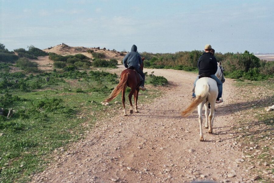From Essaouira: Scenic Diabat Horseback Ride With Transfer - Overview and Pricing