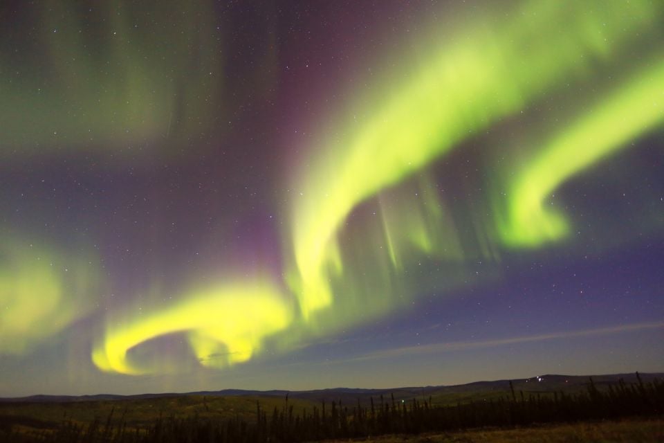 From Fairbanks: Chena Hot Springs Northern Lights Tour - Tour Overview and Pricing