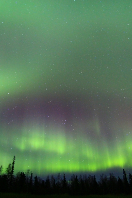 From Fairbanks: Northern Lights & Murphy Dome Tour