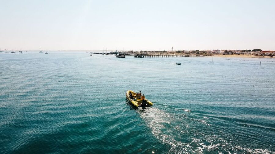 From Faro: Ria Formosa Hop-On Hop-Off Island Cruise