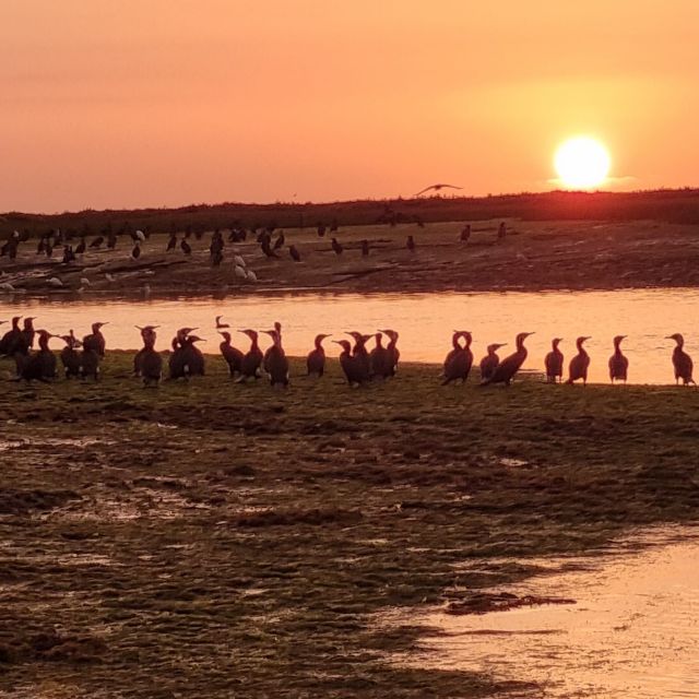 From Faro: Ria Formosa Islands Sunset Boat Cruise